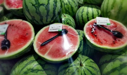 各种网红爆料吃瓜群聊